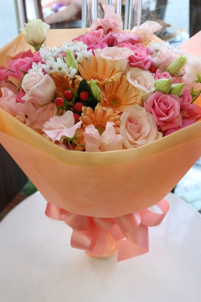 f:id:arai8783:20190306074814j:plain f:id:arai8783:20190306074814j:plain