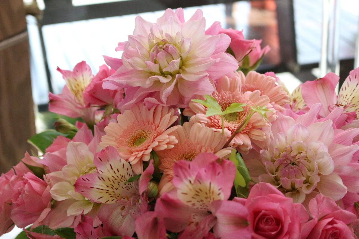 f:id:arai8783:20190502084417j:plain