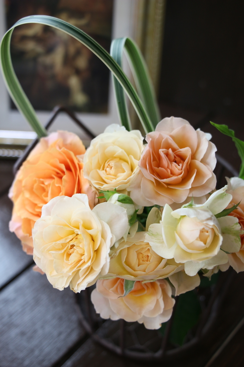 f:id:arai8783:20200717192939j:plain f:id:arai8783:20200717192939j:plain