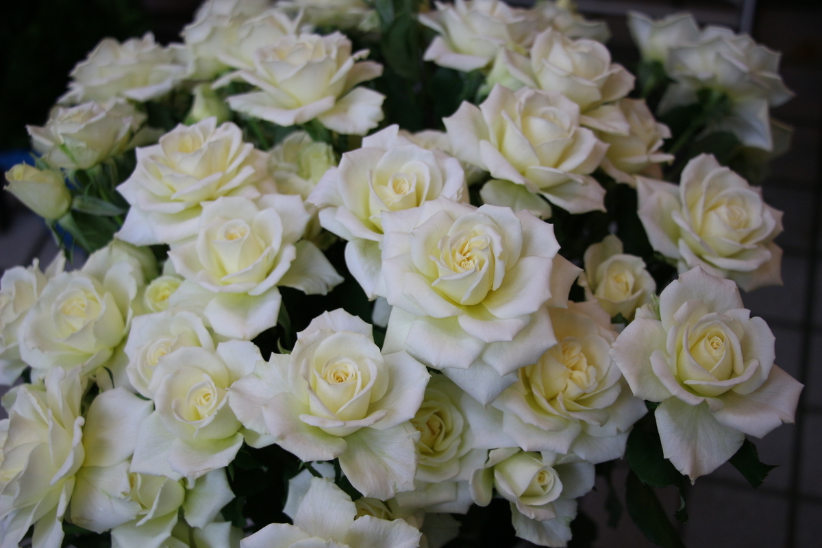 f:id:arai8783:20201209084054j:plain