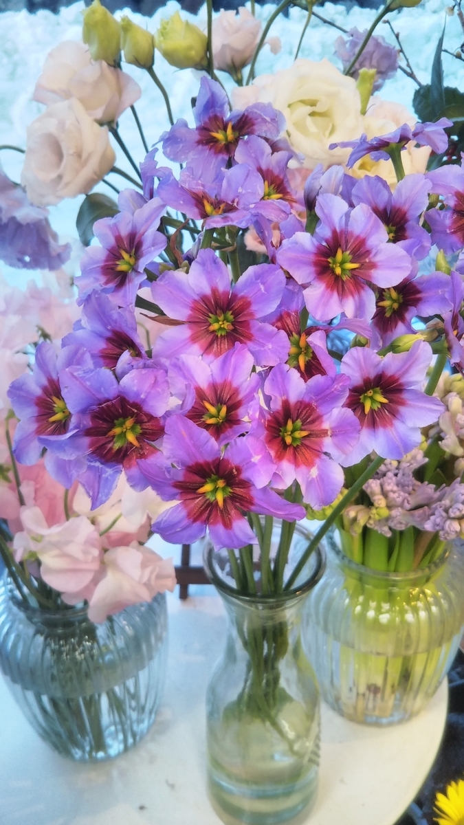 f:id:arai8783:20220110172620j:plain