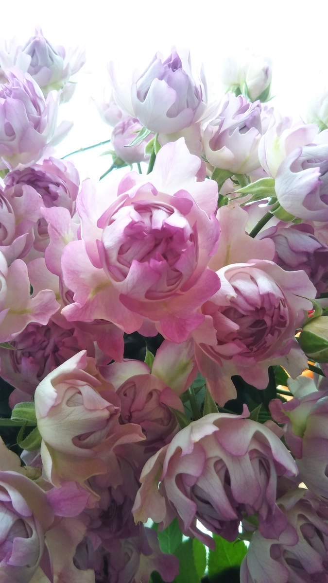 f:id:arai8783:20220115144910j:plain