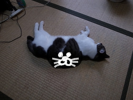 f:id:araihama:20180608115517j:plain