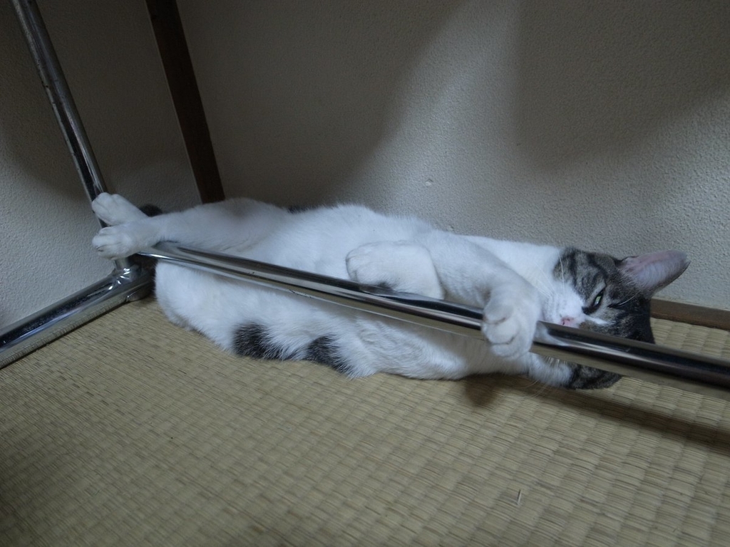 f:id:araihama:20180831232320j:plain