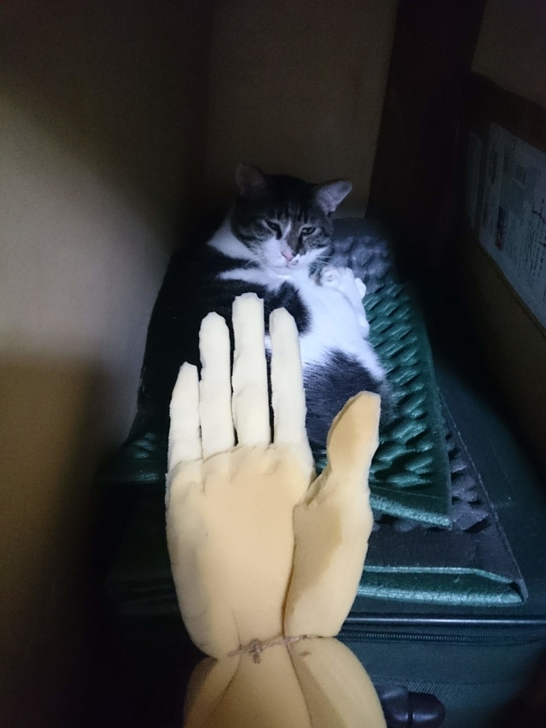 f:id:araihama:20181020065553j:plain