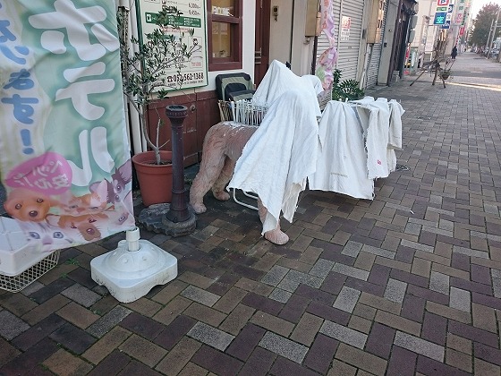 f:id:araihama:20190316201532j:plain