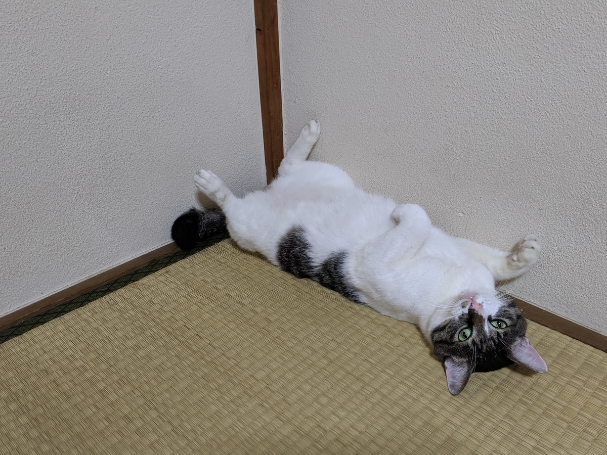 f:id:araihama:20190821172955j:plain