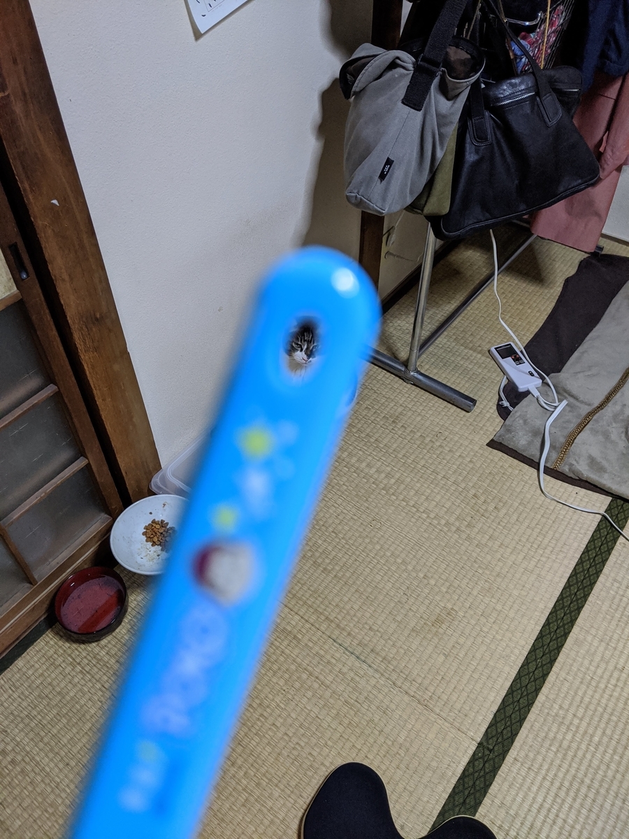 f:id:araihama:20200421183308j:plain