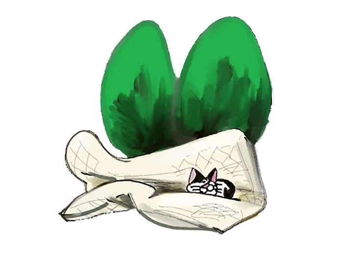 f:id:araihama:20210806223738j:plain