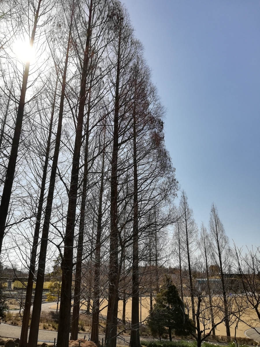 f:id:arakabu-kamenote:20200225144549j:plain f:id:arakabu-kamenote:20200225144549j:plain