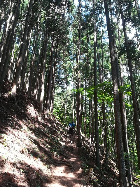 f:id:arakabu625:20180610150712j:image