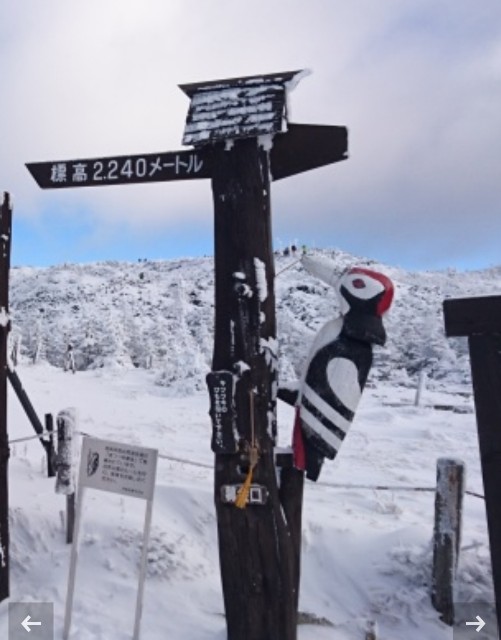 f:id:arakabu625:20190123070949j:image