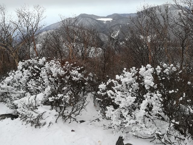 f:id:arakabu625:20190124121750j:image