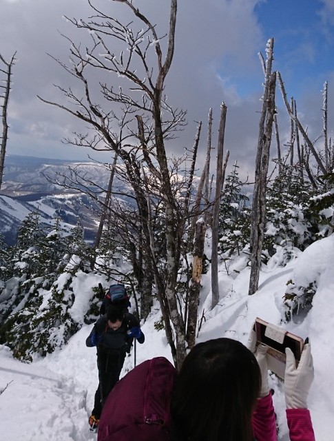 f:id:arakabu625:20190319214649j:image