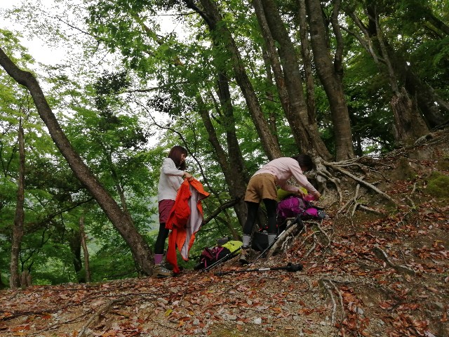 f:id:arakabu625:20190520190943j:image
