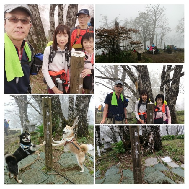 f:id:arakabu625:20190521225137j:image