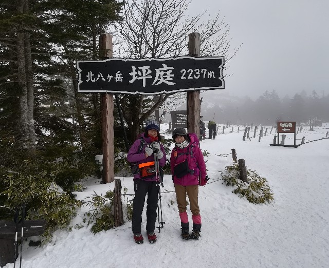 f:id:arakabu625:20191029080614j:image