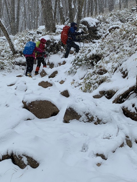 f:id:arakabu625:20200321172321j:image