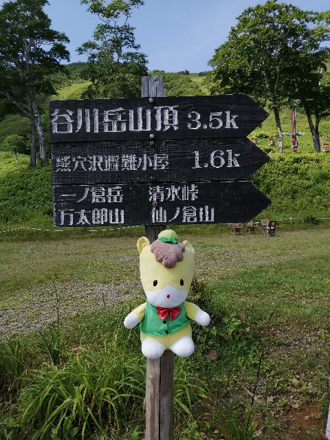 f:id:arakabu625:20200828123711j:image