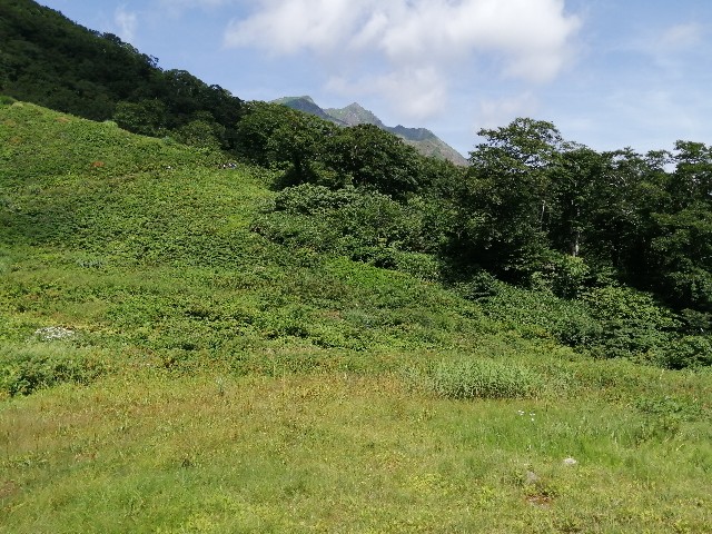 f:id:arakabu625:20200828124307j:image