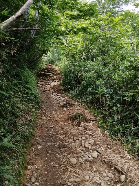 f:id:arakabu625:20200828125153j:image