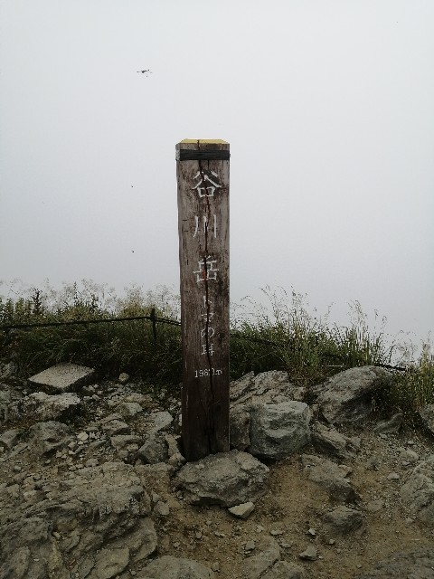 f:id:arakabu625:20200829222914j:image