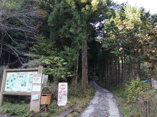 f:id:arakabu625:20201106111714j:image