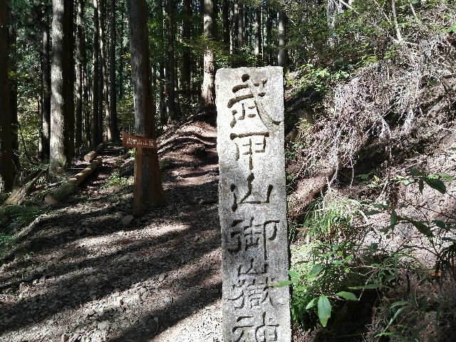 f:id:arakabu625:20201106182729j:image
