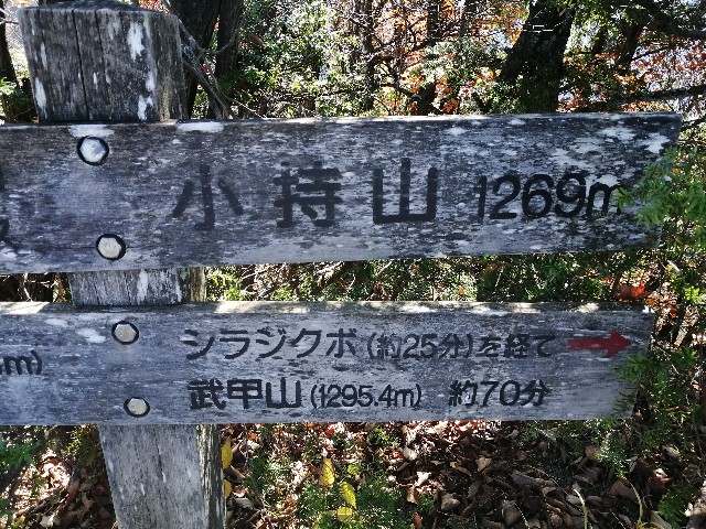 f:id:arakabu625:20201106215559j:image