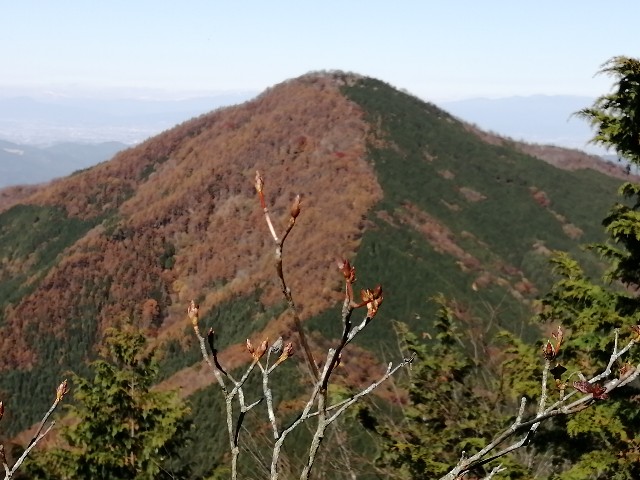 f:id:arakabu625:20201106220326j:image