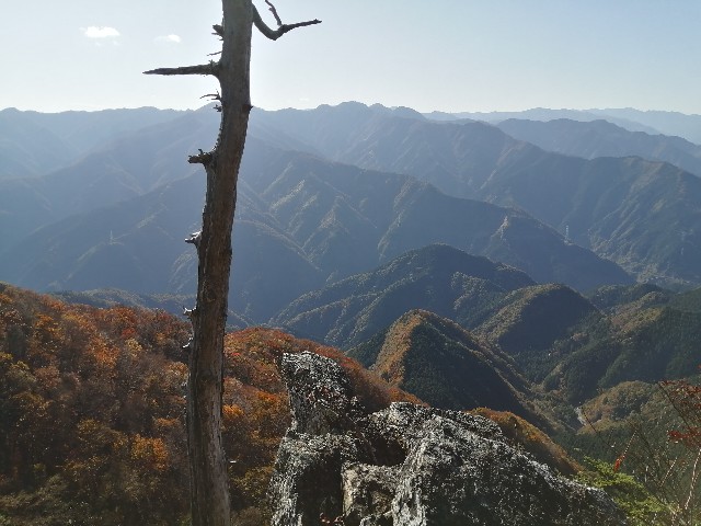f:id:arakabu625:20201106221617j:image