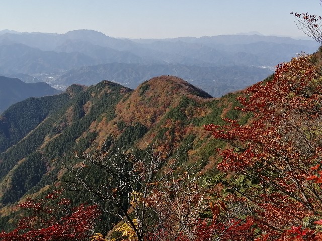 f:id:arakabu625:20201106221746j:image
