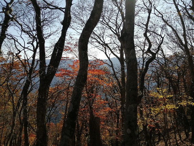 f:id:arakabu625:20201106223740j:image