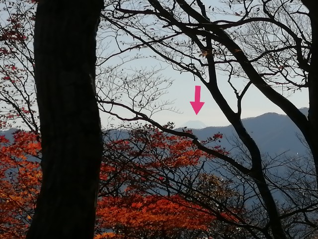 f:id:arakabu625:20201106225502j:image