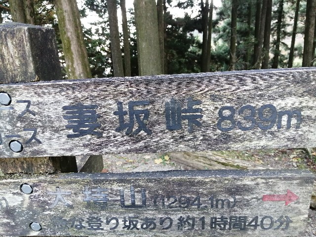 f:id:arakabu625:20201107002612j:image