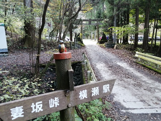 f:id:arakabu625:20201107005224j:image