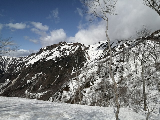 f:id:arakabu625:20210425194721j:image