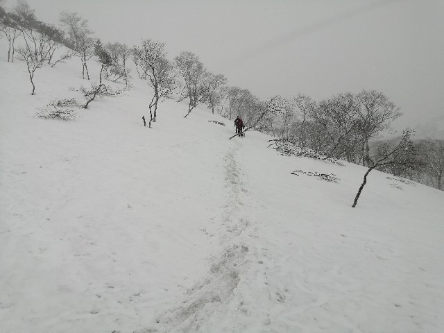 f:id:arakabu625:20210426200328j:image