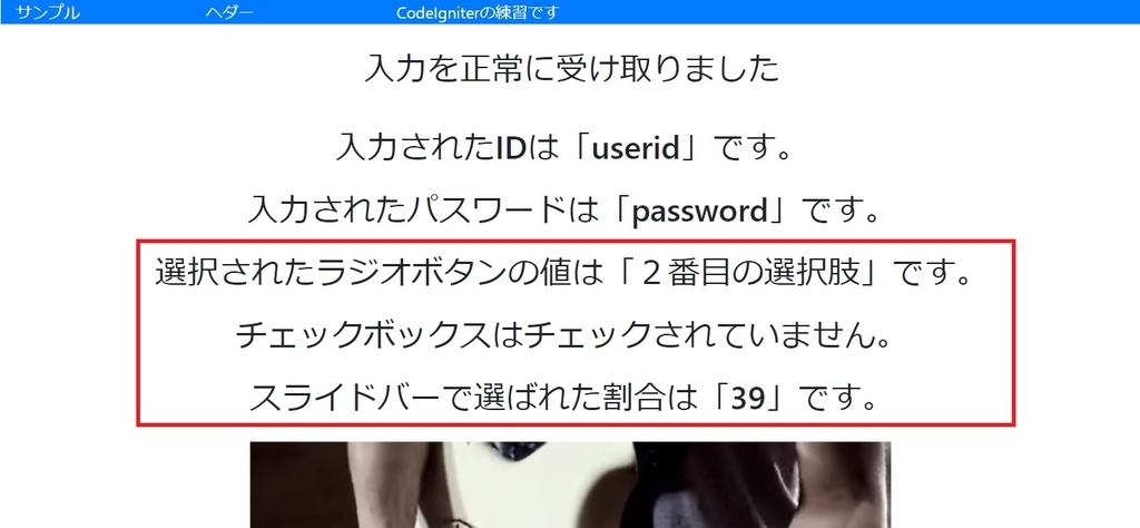 Php Codeigniter3 Bootstrap4 チェックボックスとラジオボタンとスライドバー レンジ入力 を使う Boku のitな日常