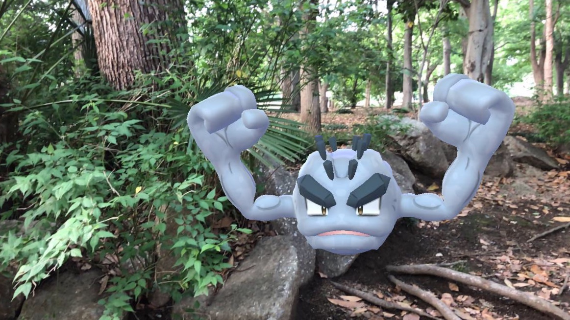 ポケモンgo 誰かに似ている はじめの1歩