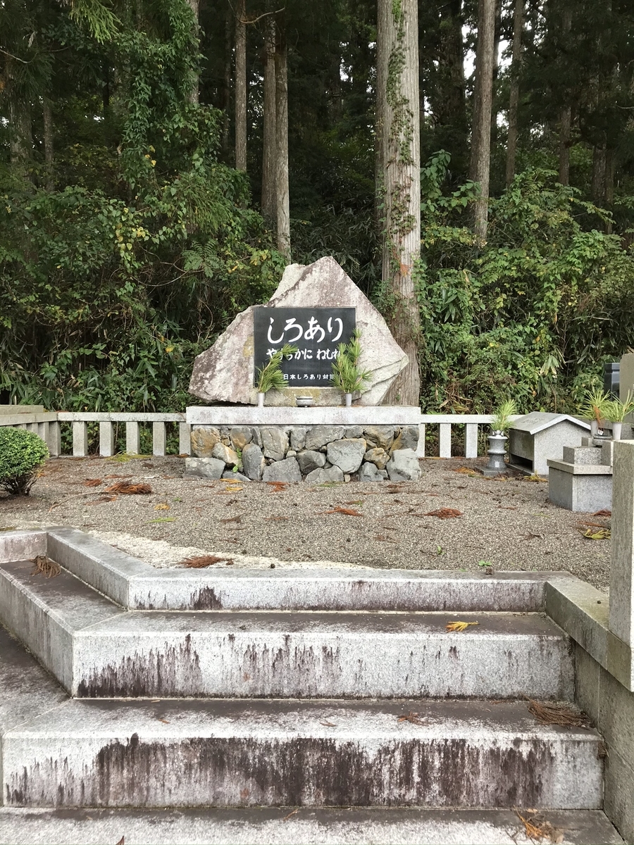 f:id:arakannkoala:20191021151350j:plain
