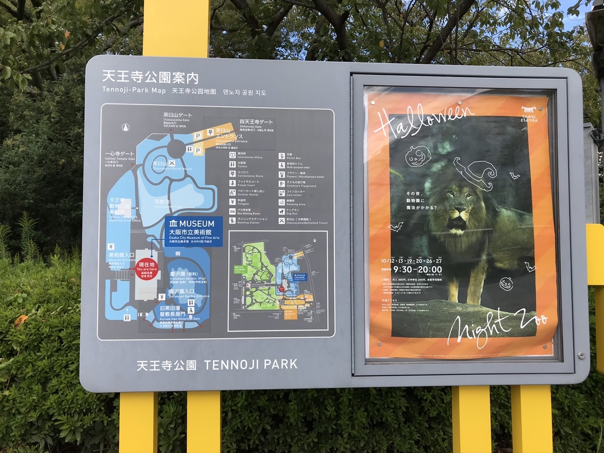 f:id:arakannkoala:20191025115142j:plain