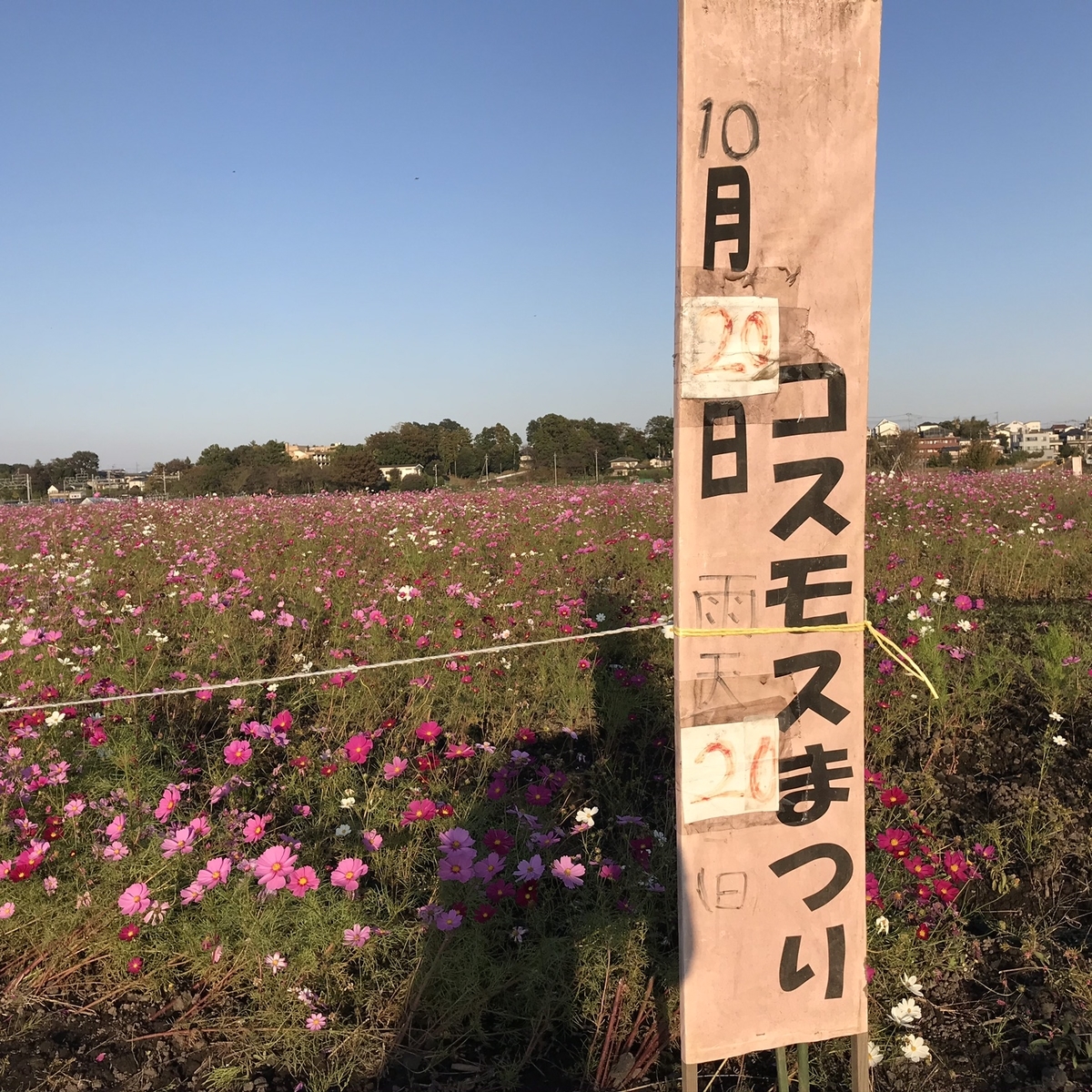 f:id:arakannkoala:20191109163634j:plain f:id:arakannkoala:20191109163634j:plain