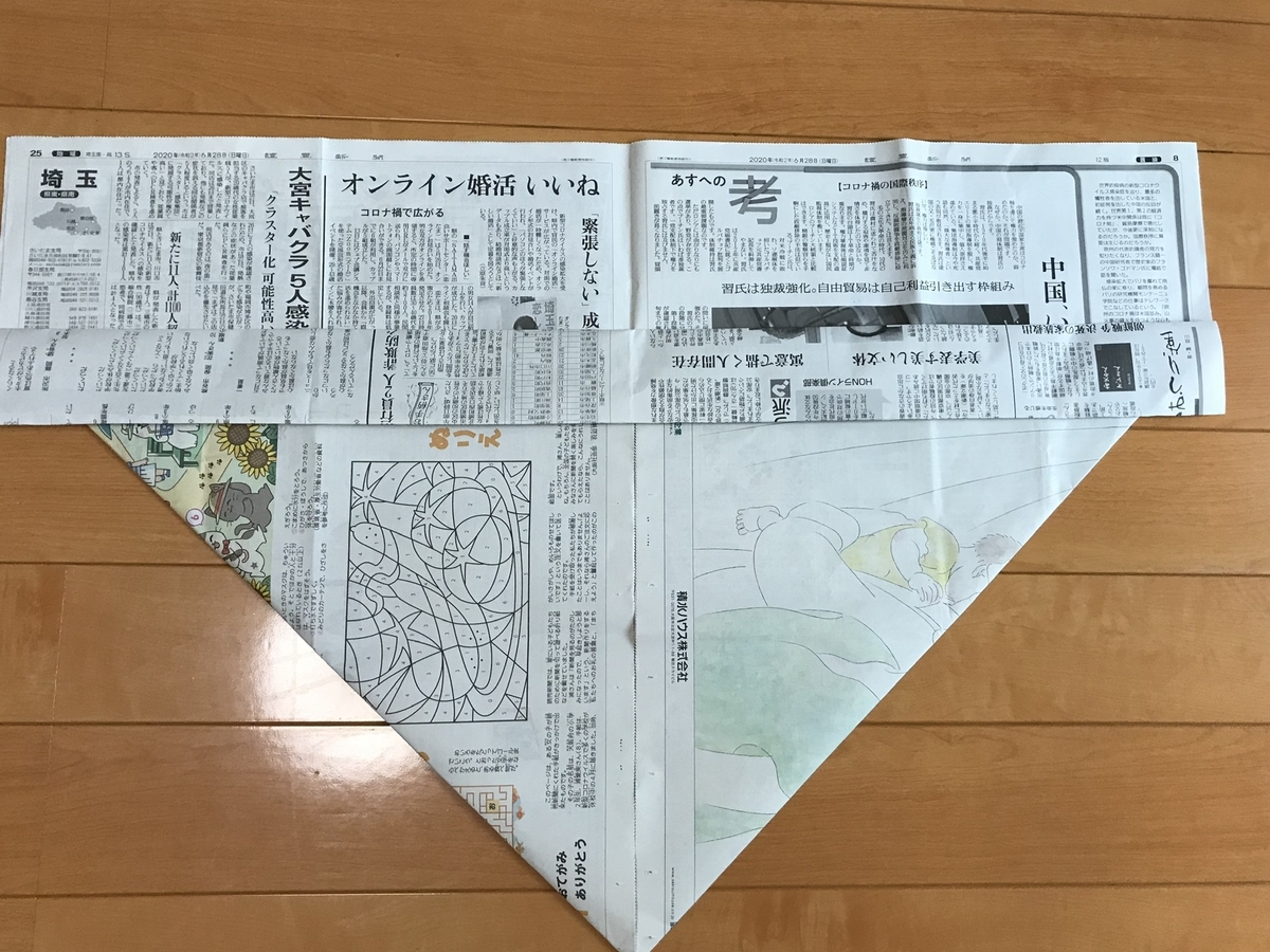 f:id:arakannkoala:20200708114503j:plain