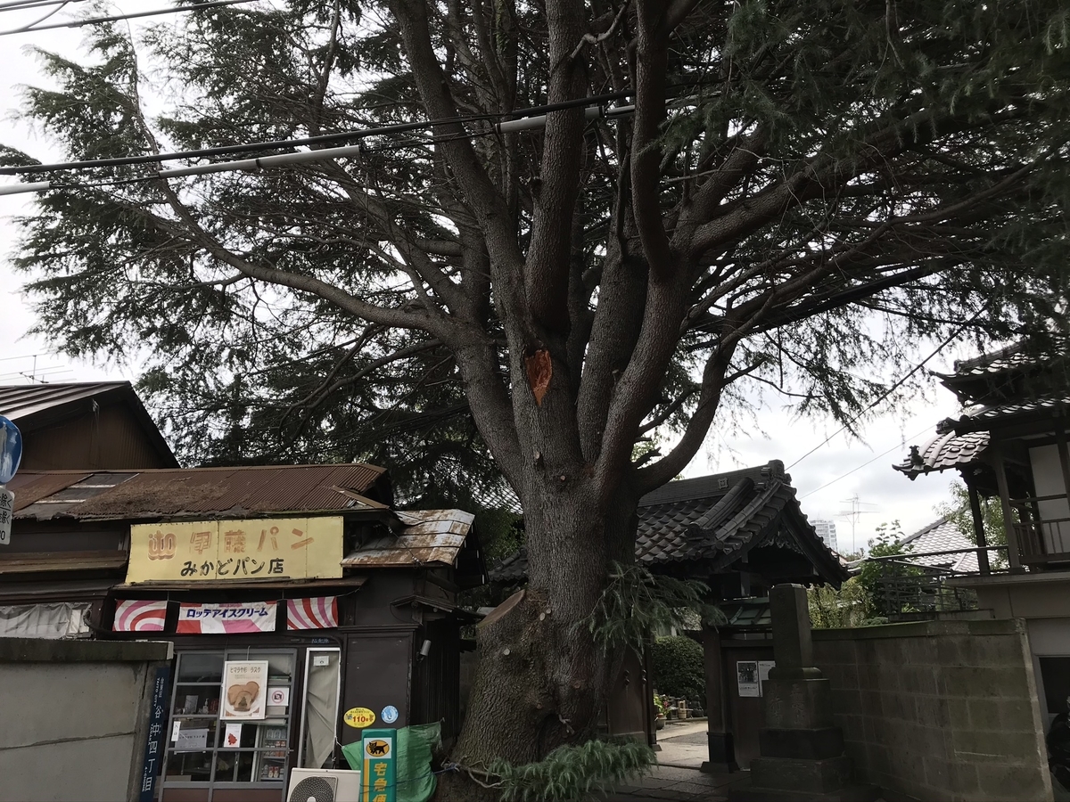 f:id:arakannkoala:20201014174221j:plain f:id:arakannkoala:20201014174221j:plain