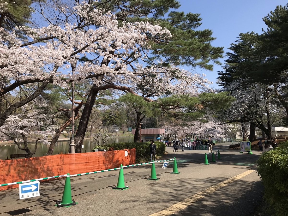 f:id:arakannkoala:20210324211347j:plain