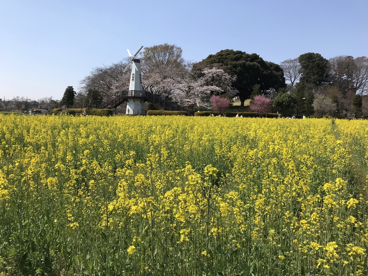 f:id:arakannkoala:20210324215531j:plain