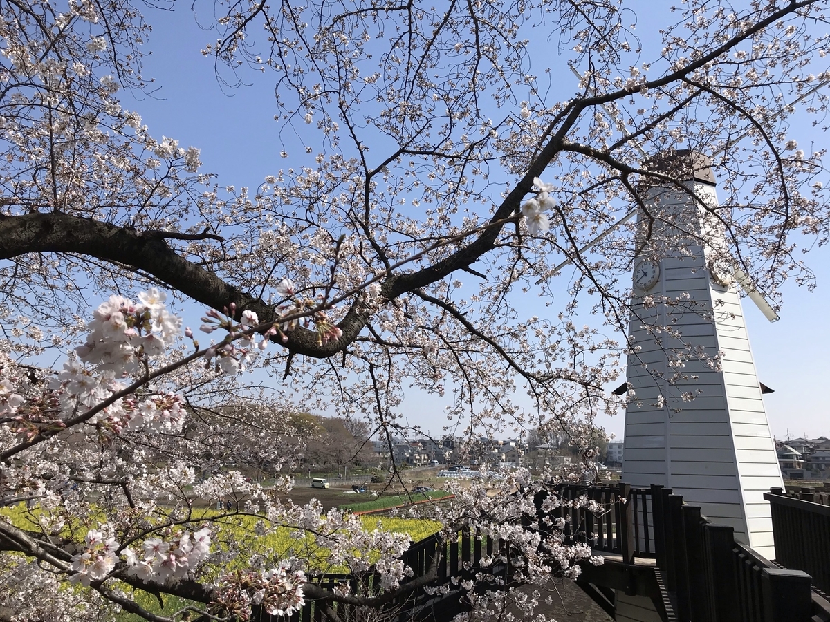 f:id:arakannkoala:20210324215714j:plain