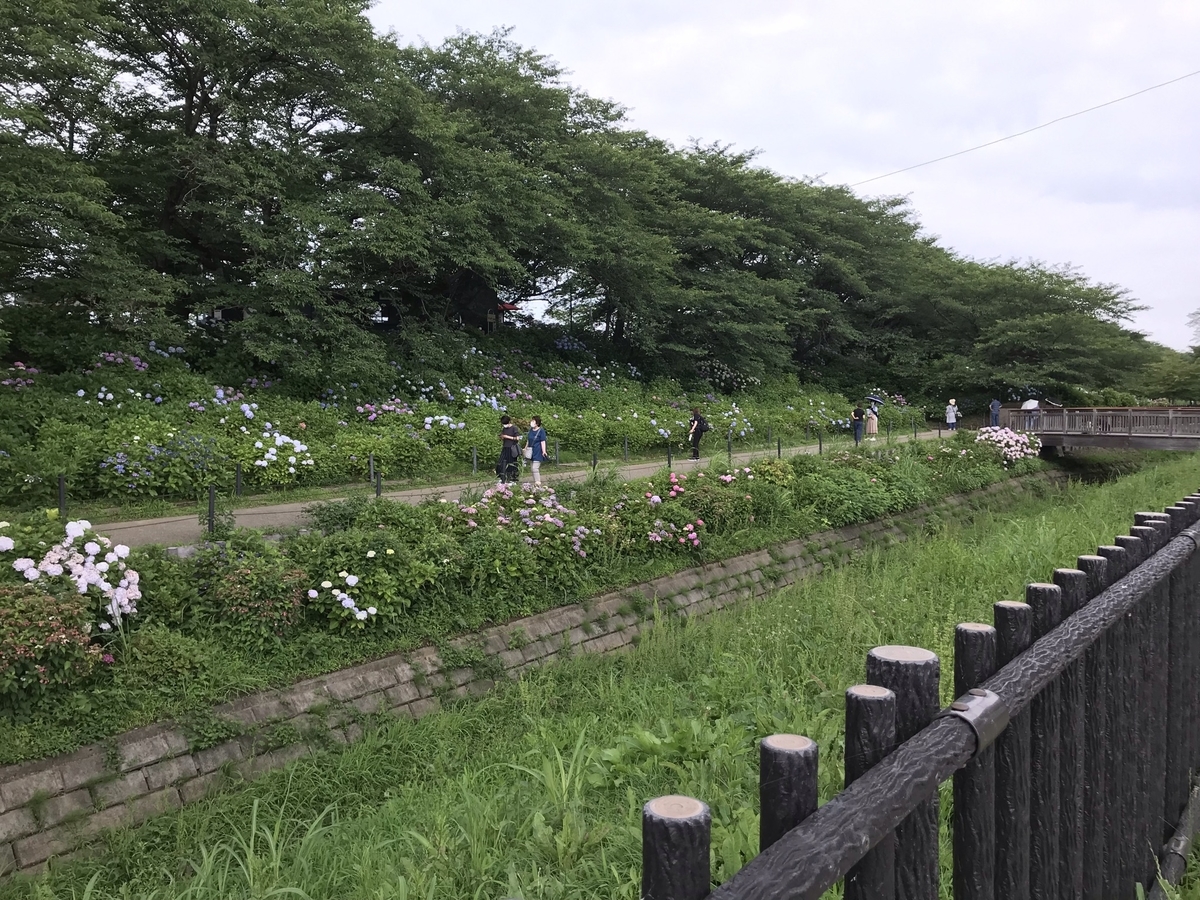 f:id:arakannkoala:20210624150309j:plain