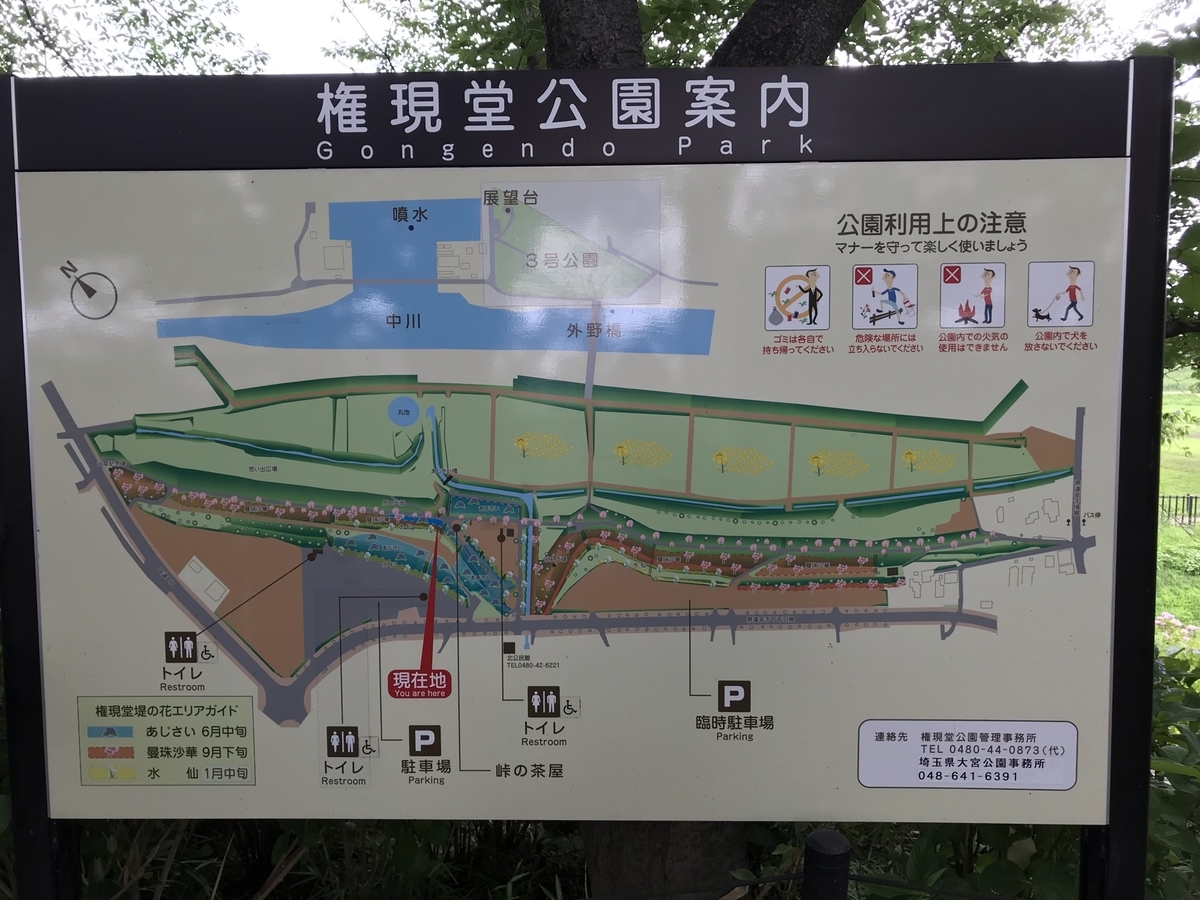 f:id:arakannkoala:20210624151432j:plain